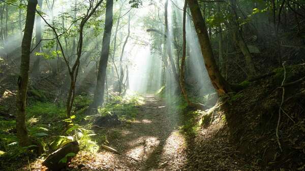 Uitvaarttrends 2026: Wat nabestaanden belangrijk vinden 